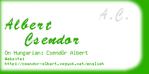 albert csendor business card
